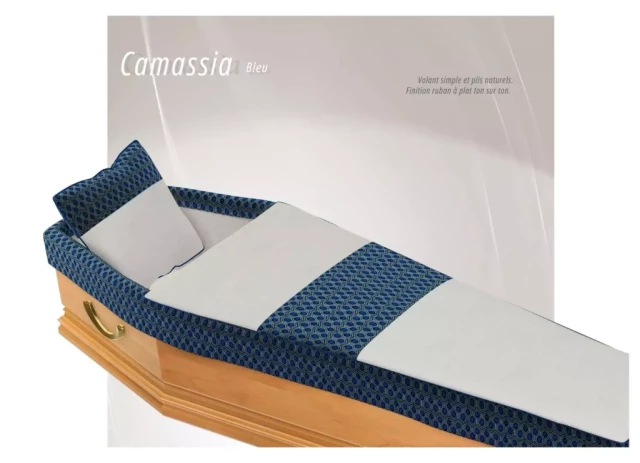 Capiton Camassia Bleu