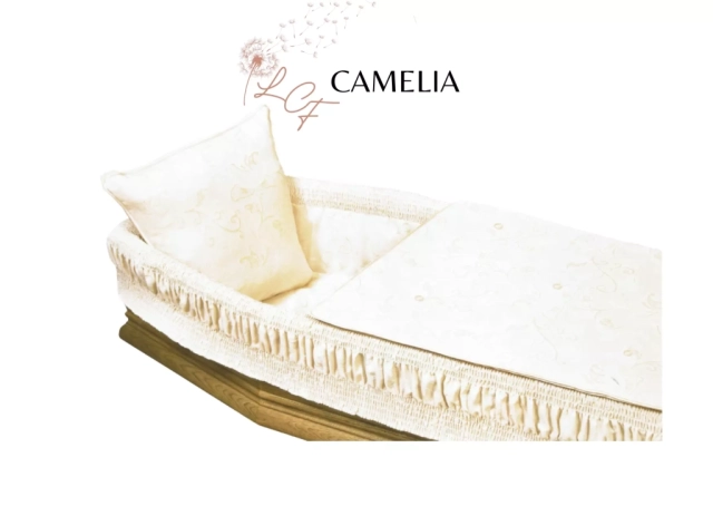 Capiton Camelia