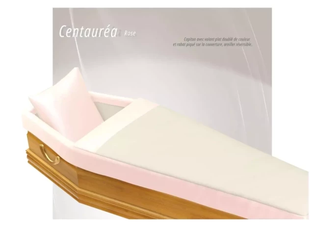 Capiton Centauréa Rose